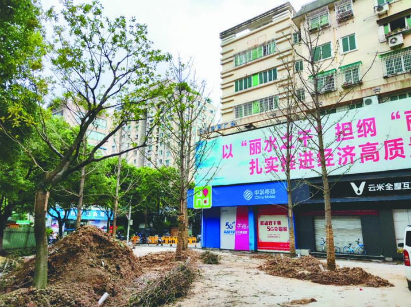 最新吊車(chē)網(wǎng)，自然美景之旅與內(nèi)心平靜的探尋