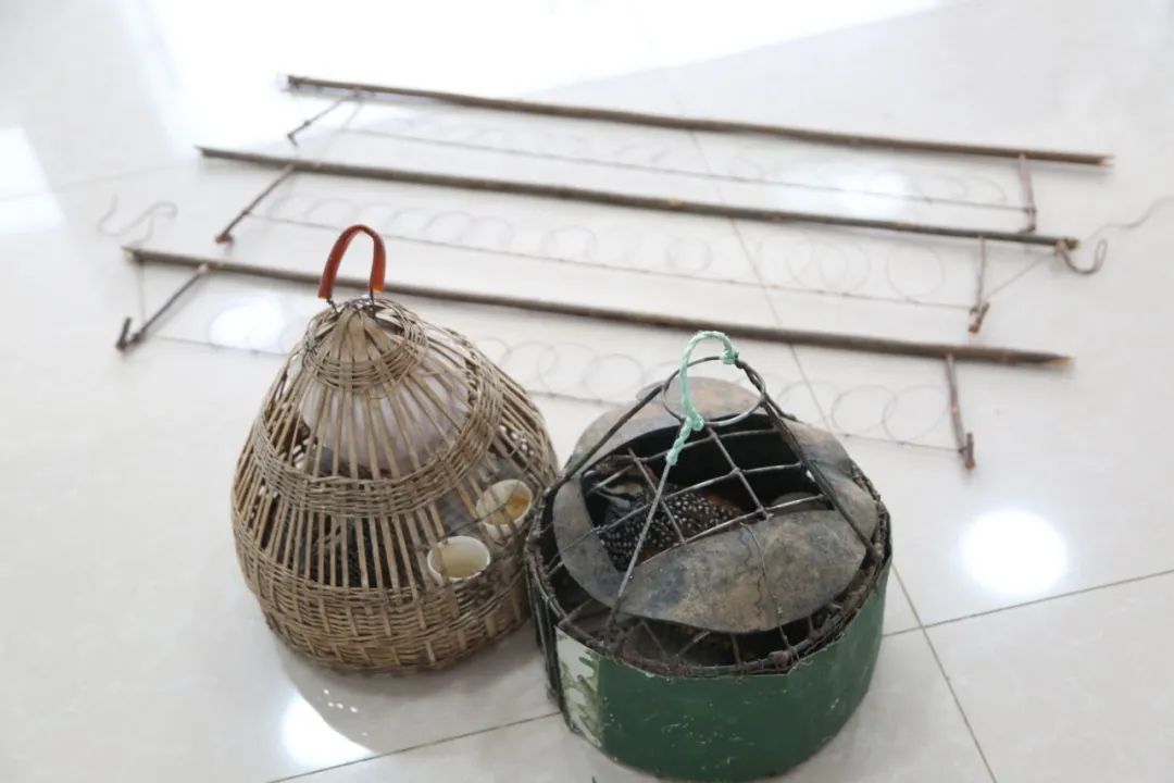 小巷中的神秘寶藏揭秘，最新捕鳥工具揭秘