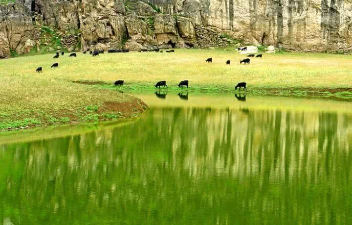 青草最新在線視頻，自然與科技融合之美展現(xiàn)的力量