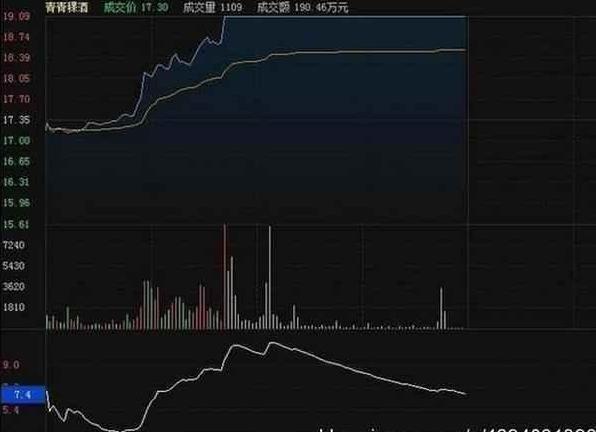 胡立陽最新探索，自然美景的治愈之旅