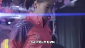 笑斯人最新視頻，日常趣事與友情的紐帶展現(xiàn)！