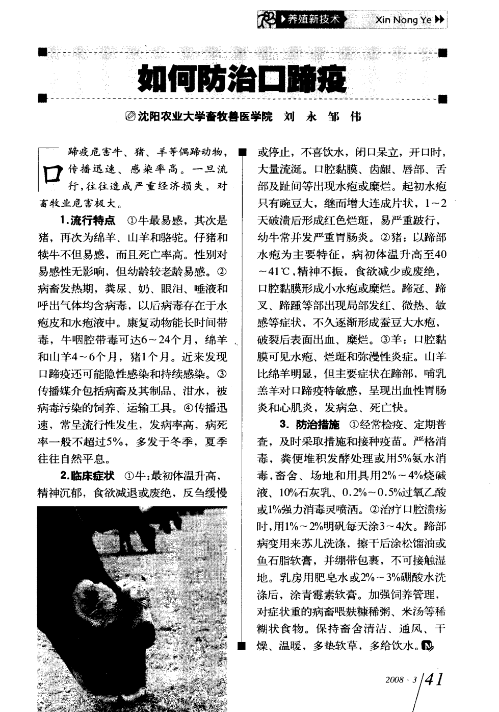 口蹄疫最新科研，自然探險(xiǎn)與內(nèi)心平和的追尋之旅