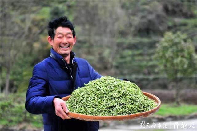 最新夷陵新聞，探索自然美景的旅程，尋覓內(nèi)心平和之地