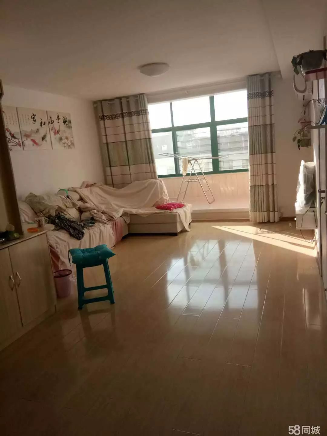 萊西最新個(gè)人租房，窗外世界與自我成長(zhǎng)的旅程