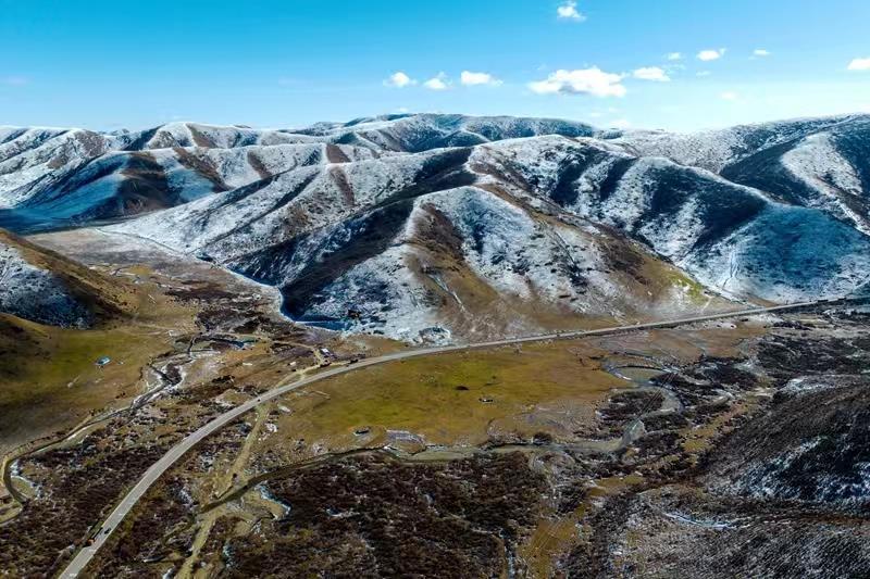 蘭西最新新聞，學(xué)習(xí)之光，自信與成就感的源泉