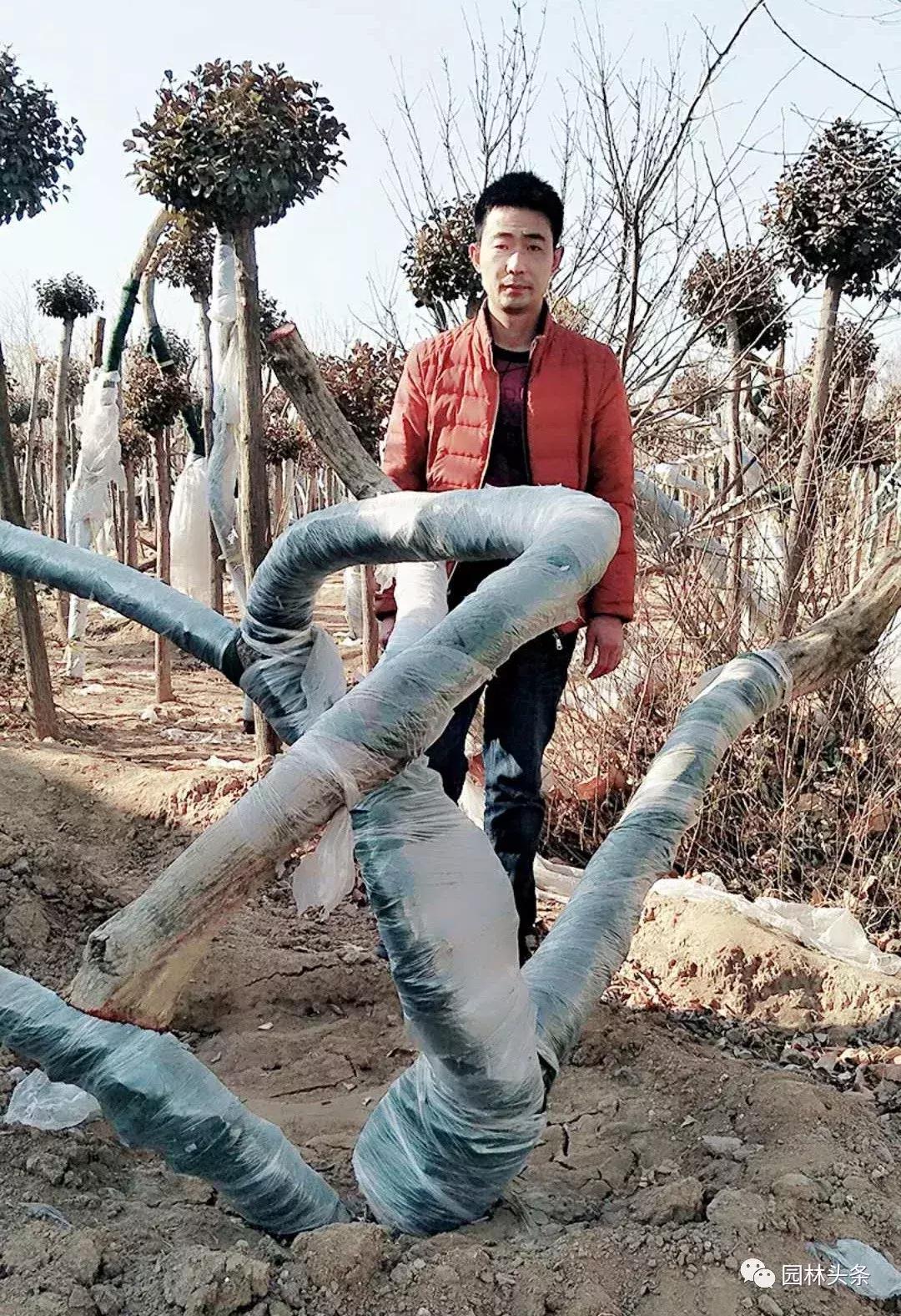 定州最新急招工，時代的呼喚與行業(yè)重塑的挑戰(zhàn)