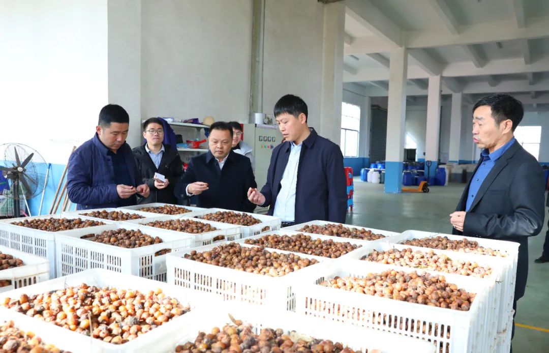 建寧最新新聞，城市溫馨日常與友情力量的展現(xiàn)