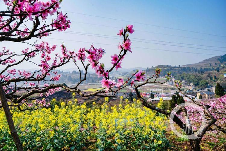 合川最新科技新聞，高科技產(chǎn)品引領(lǐng)未來(lái)生活潮流