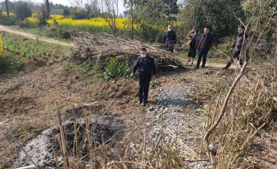 溧陽最新天氣，氣象變遷與地域影響探究