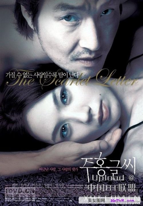 最新內(nèi)地倫理電影探索與啟示，揭示社會(huì)倫理的啟示與價(jià)值