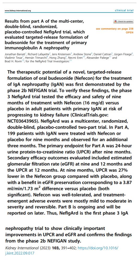 IGA腎病最新突破，醫(yī)學(xué)奇跡在小店中綻放的獨(dú)特魅力