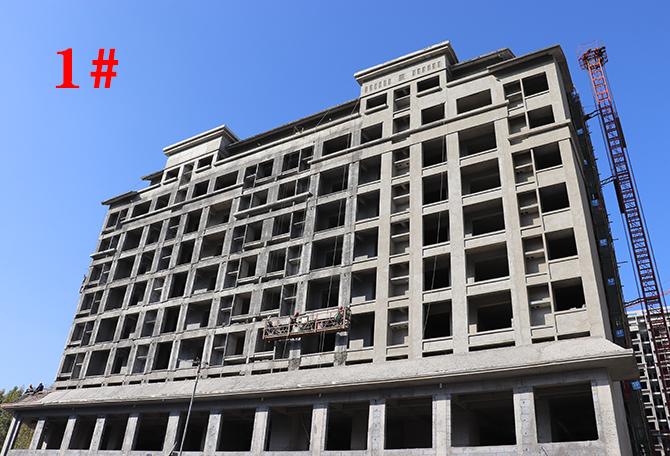 平輿最新樓盤市場(chǎng)現(xiàn)狀與前景展望，深度解析市場(chǎng)趨勢(shì)與發(fā)展前景展望