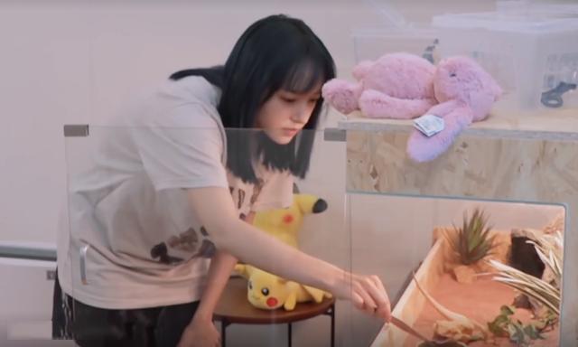 程瀟最新綜藝節(jié)目，心動瞬間，不容錯過！?