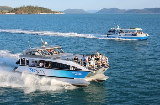 時代背景下的璀璨星辰，最新號號天堂綜述