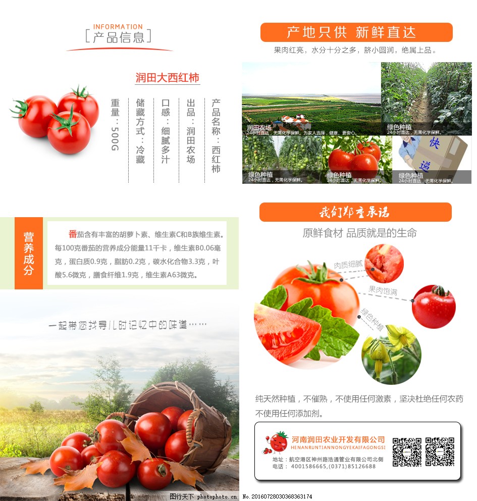 安徽西紅柿產(chǎn)地探秘，自然美景與鮮美西紅柿的邂逅之旅