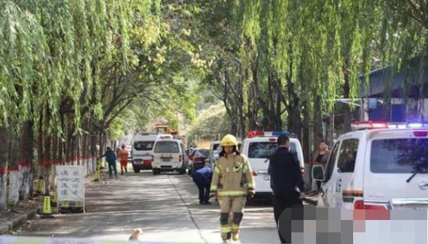 安陽最新事件，溫馨日常與不期而遇的友情之旅