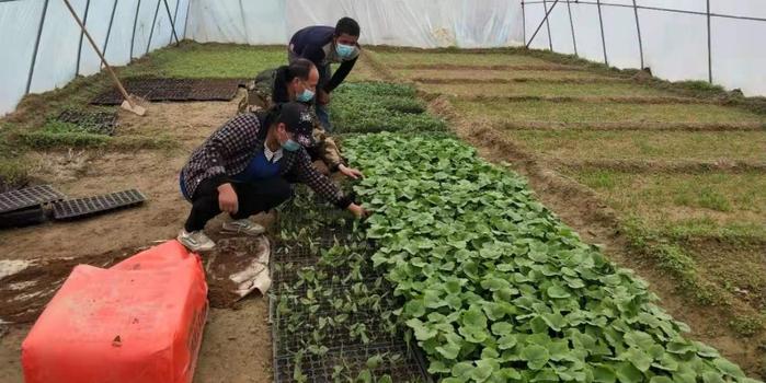 策勒最新招聘啟航人才新篇章，學(xué)習(xí)變化，擁抱自信與成就，啟程人生新征程！