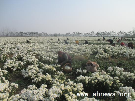 界首最新新聞，學(xué)習(xí)變革的力量，自信與成就感的融合之路