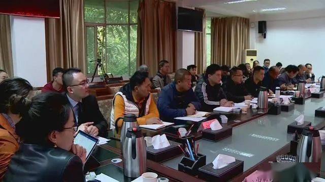 德昌最新新聞，擁抱自然，心靈寧靜之旅啟程