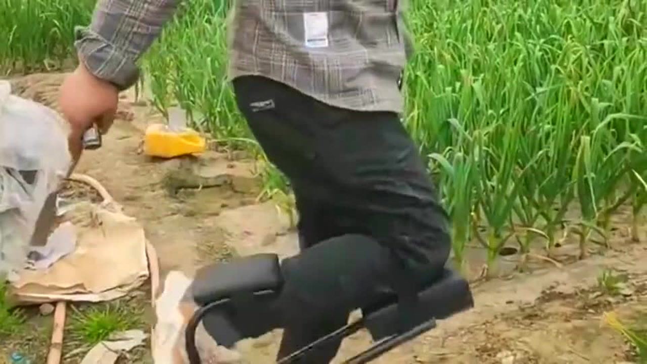 最新挖蒜工具，心靈與自然的完美交融