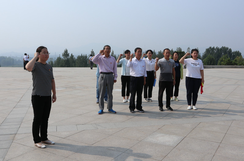 肥城房產(chǎn)最新動(dòng)態(tài)，市場走勢、熱門區(qū)域與案例分析