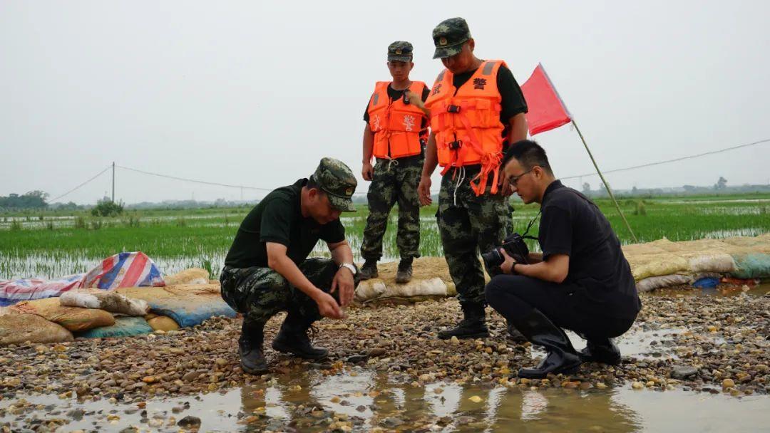 永修最新聞，背景探尋與時代地位的重要事件回顧