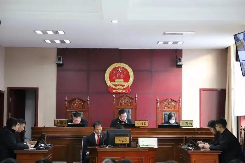 偏關(guān)最新案件深度解析，揭示真相，關(guān)注社會(huì)公正與公平