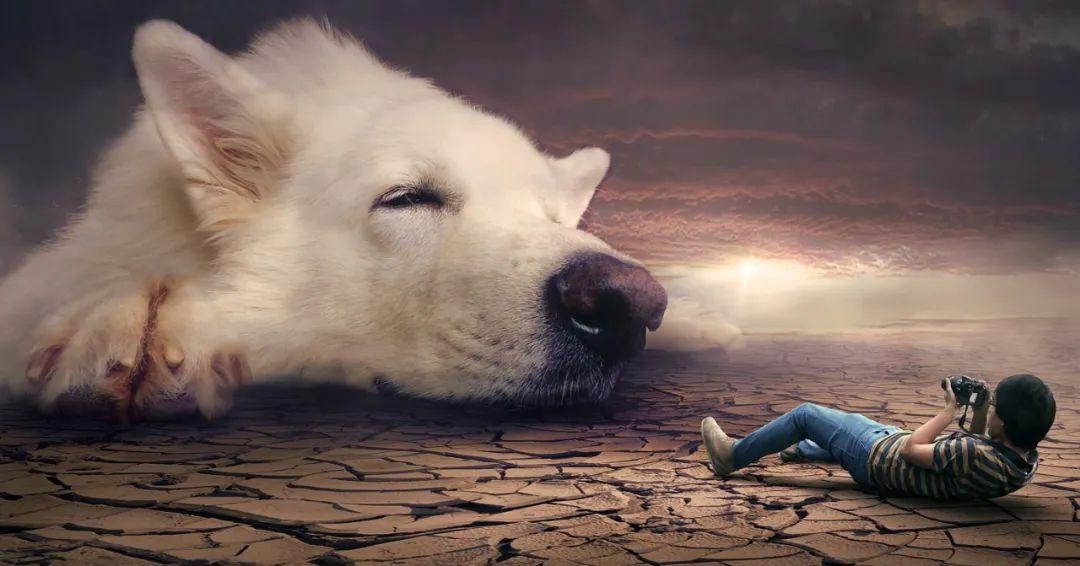 夢境最新研究揭秘，探索人類夢境的奧秘