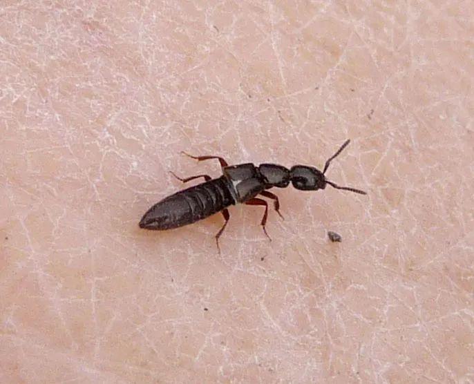 高效應(yīng)對問題關(guān)鍵策略，最新處理方法詳解