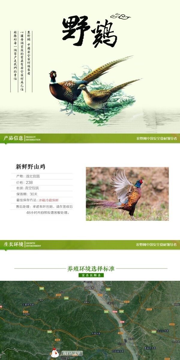 深度剖析，最新山雞的背景、事件與地位概述