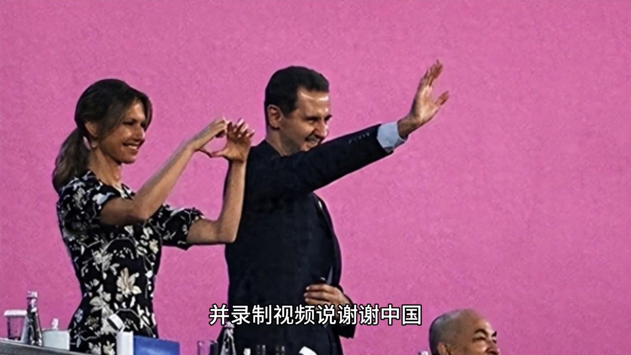 最新高包機(jī)科技，重塑生活，前沿體驗(yàn)盡在掌握