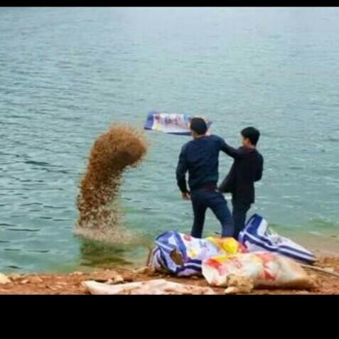 科學(xué)釣魚最新探索，學(xué)習(xí)與實踐的成就感之旅