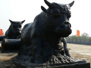 鐵牛視頻最新精彩呈現(xiàn)，領略與眾不同的世界！