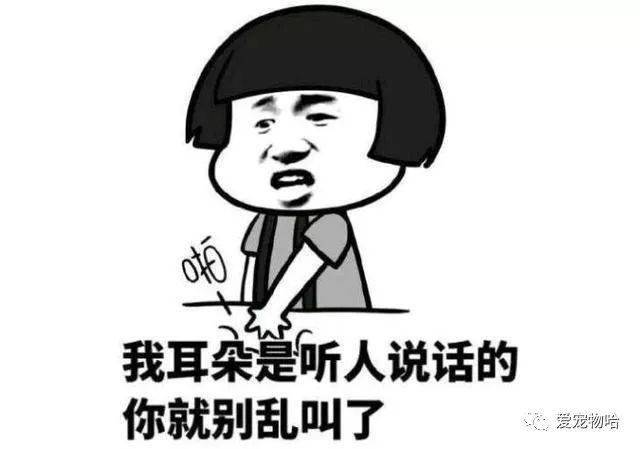 最新枕邊笑話，科技小寶貝，生活添樂趣