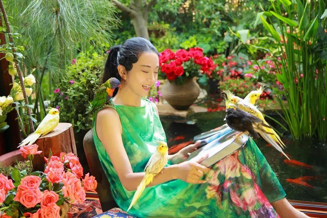 昆明最新舞蹈，文化現(xiàn)象的深度探討