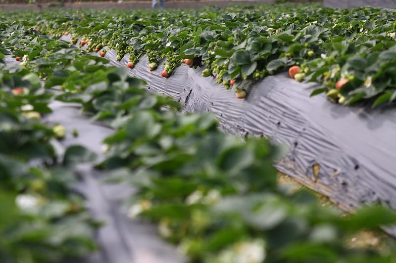 湖北最新封鎖，科技智能重塑防線，守護生活安全