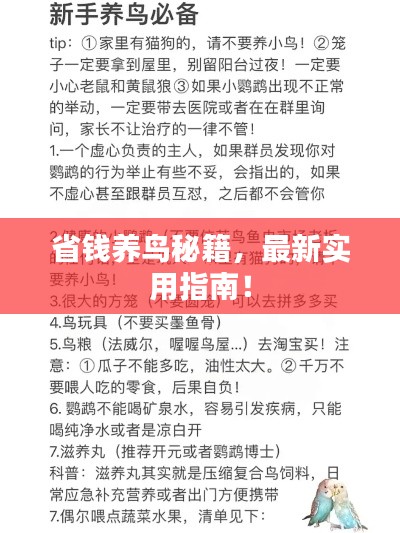 最新養(yǎng)鳥(niǎo)法規(guī)解析，觀點(diǎn)闡述與深度探討
