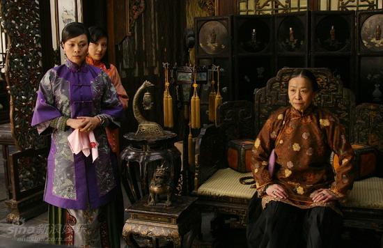 鐵梨花最新更新，日常生活中的趣事與情感紐帶