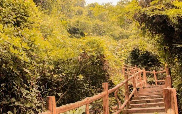 運(yùn)動(dòng)場(chǎng)館燈具 第68頁(yè)