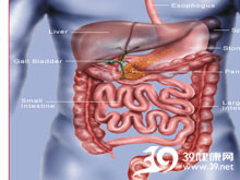 高科技產(chǎn)品重塑生活，體驗(yàn)前沿魅力，探索腸鳴最新技術(shù)