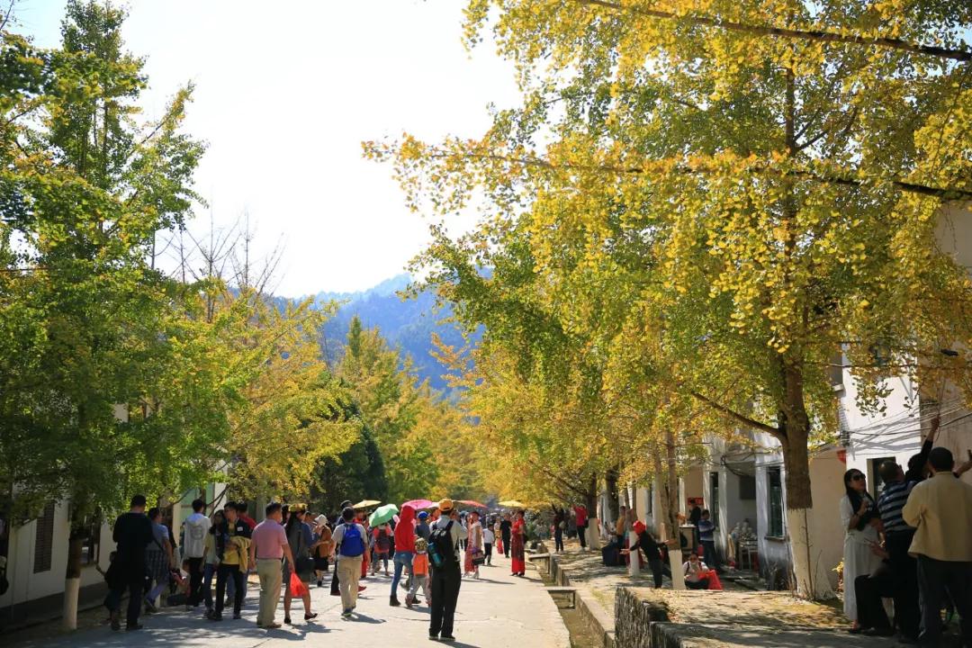 南雄最新現(xiàn)狀，科技前沿產(chǎn)品引領(lǐng)未來生活發(fā)展