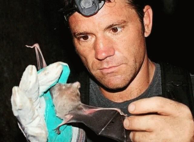 蝙蝠最新電影，自信與成長的翅膀，勵(lì)志翱翔天空之旅