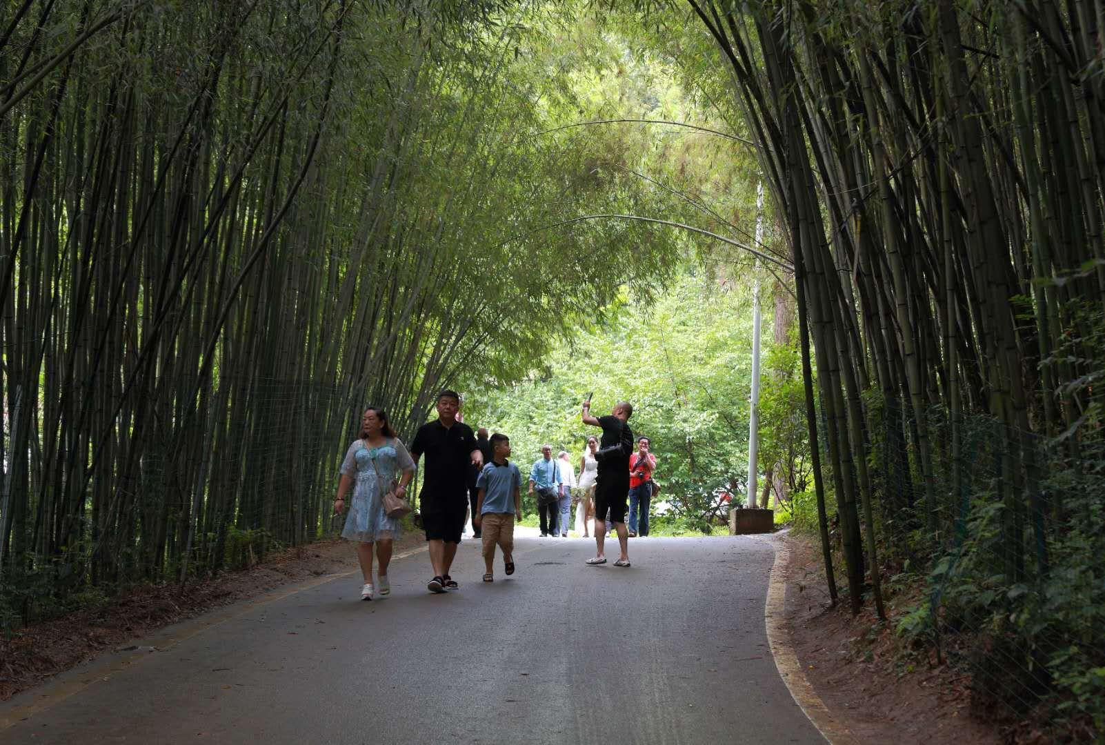 全家最新優(yōu)惠攻略，一步步教你享受最大優(yōu)惠折扣！