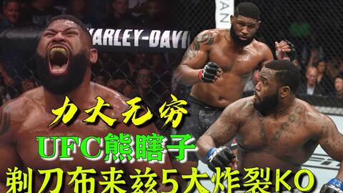 小菊最新比賽，友誼與夢想的絢爛綻放