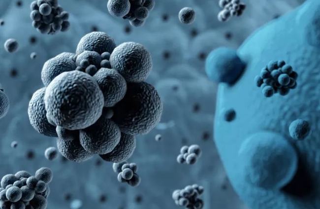 病毒擴散最新情況，自然探險之旅尋求內(nèi)心平和之地