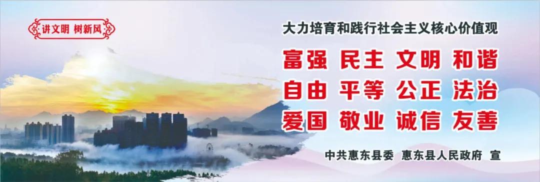 惠州肺炎最新動(dòng)態(tài)，小巷深處的獨(dú)特小店背后的故事