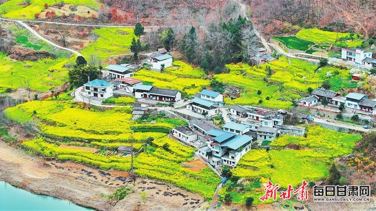 揭秘文縣，歷史背景、重大事件與時代地位全景展示