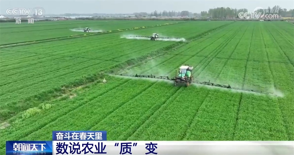 最新農(nóng)業(yè)農(nóng)村發(fā)展，播種希望，收獲自信與成就感