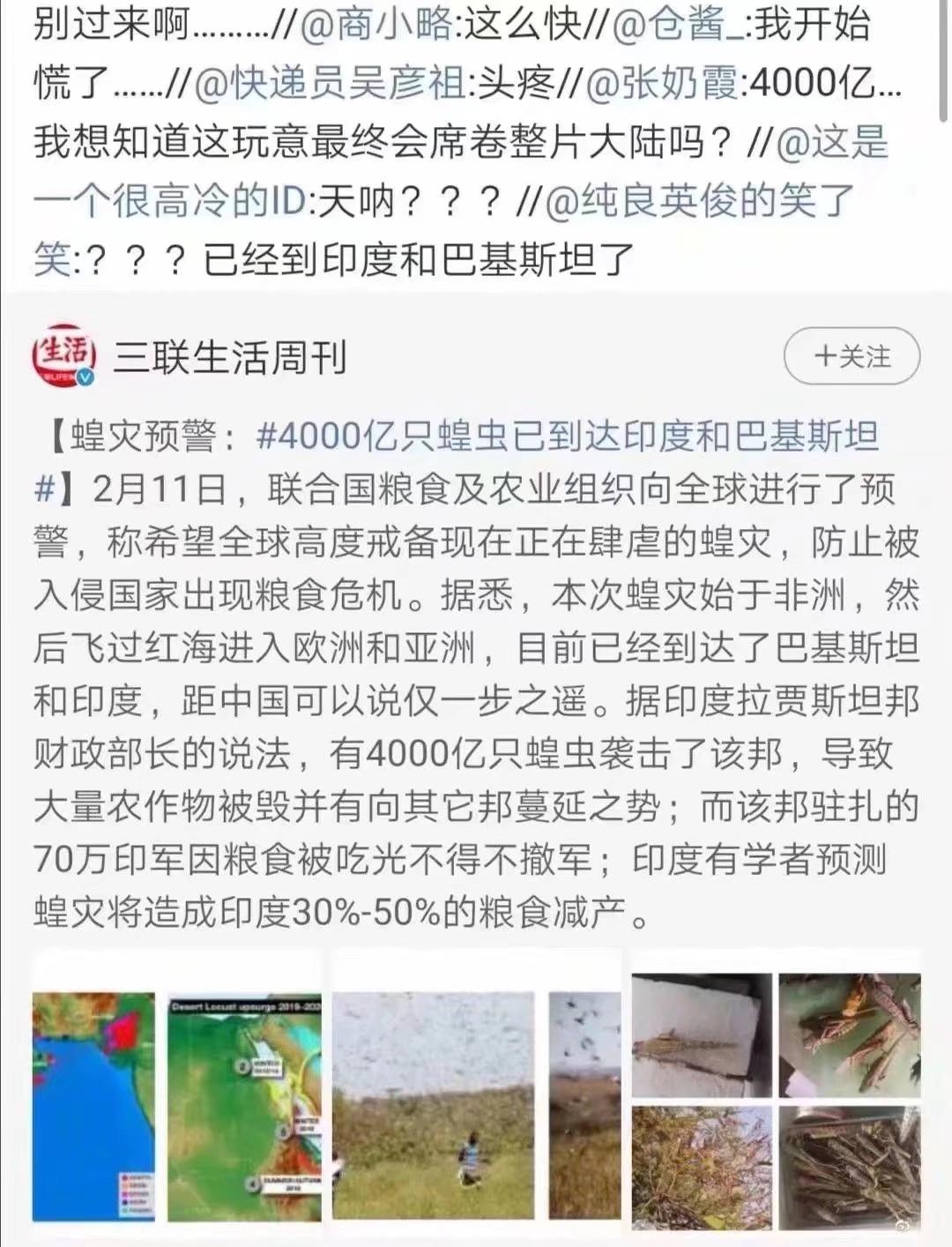 蝗蟲最新動態(tài)，防治與監(jiān)測的全面指南