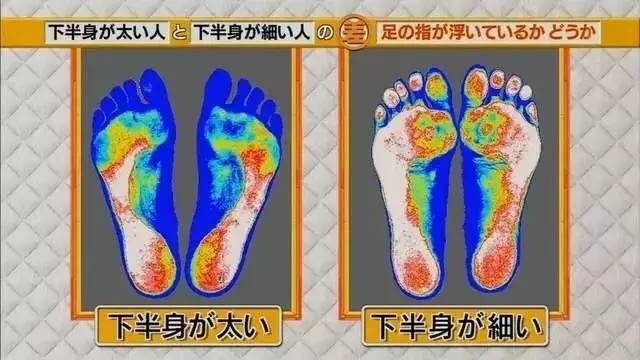 最新地趾論述，探索、爭議與觀點綜述